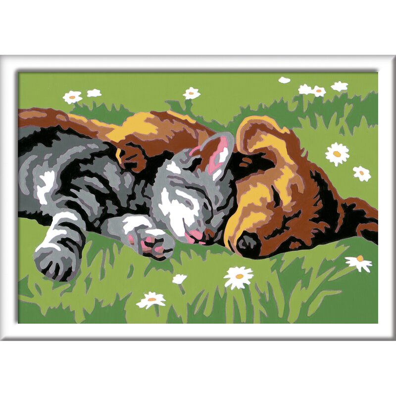 Ravensburger - pictura pe numere catelus si pisicuta