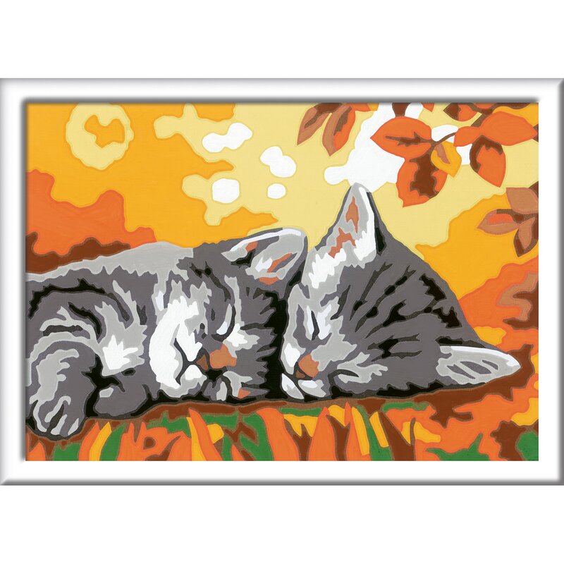 Ravensburger - pictura pe numere pisicute somnoroase