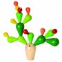 Cactus in echilibru - 1