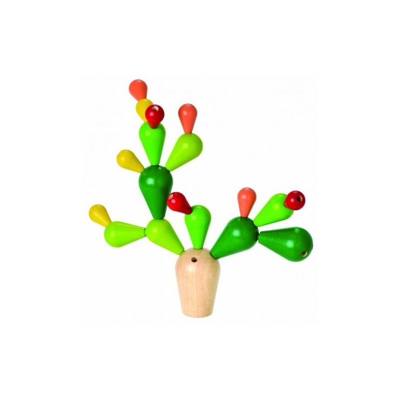 Cactus in echilibru