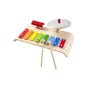 Plan Toys - Set cu instrumente muzicale pentru copii - 1