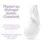 Plasturi cu Hidrogel pentru Cezariana Lansinoh - 2 buc. - 2