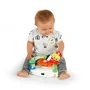 Premergator interactiv, Baby Einstein, Sky Explorers, Pliabil, Pana la 12 kg, Cu panou detasabil, Inaltime reglabila in 3 pozitii, 6 luni+, Multicolor - 8