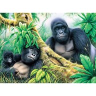 Prima pictura pe numere junior mare Gorile de munte