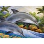 Prima pictura pe numere junior mare - Insula delfinilor - 1
