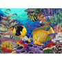 Prima pictura pe numere junior mare Recif de corali-Caraibe - 1