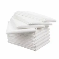 Set aleze, Bocioland, Impermeabile de unica folosinta, 10 bucati, 40x60 cm