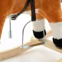 Calut balansoar din plus, Baby Mix, Cu efecte de miscare a gurii si a cozii, Cu melodie de cowboy si efect de galop, Maro Deschis - 8
