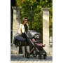 Lorelli - Carucior 2 in 1 Storm , Steel,  Cadru din aluminiu, 0-22 kg, Cu cos auto inclus, Gri - 10