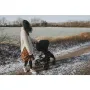 Carucior sport, Lionelo, Annet Plus, De la nastere, Cu accesorii si capotina XXL reglabila, 0 - 22 Kg, Conform cu standardele europene de securitate EN1888-1 si EN1888-2, Bej - 31