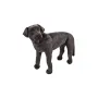 Catel Labrador Negru gigant din plus - 1