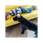 Catel Labrador Negru gigant din plus - 5