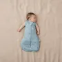 Sistem de infasat si sac de dormit, ErgoPouch, 2 in 1, 0-3 luni, 3-6 kg, TOG 2.5, Bumbac organic, Fermoar bidirectional, Transformabil, Lavabil la masina, Certificat non-toxic, Premiat in Australia, Model Dragonflies - 4