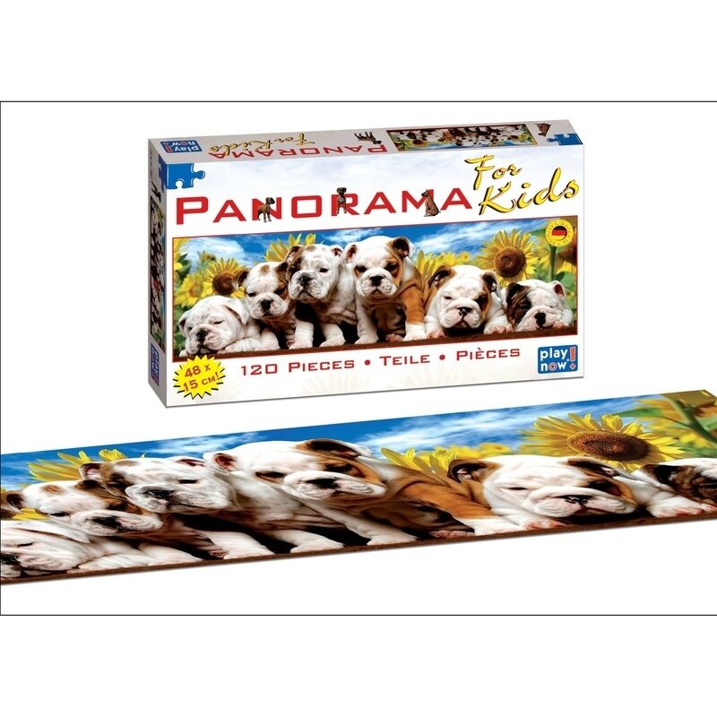 Puzzle 120 piese - modele asortate