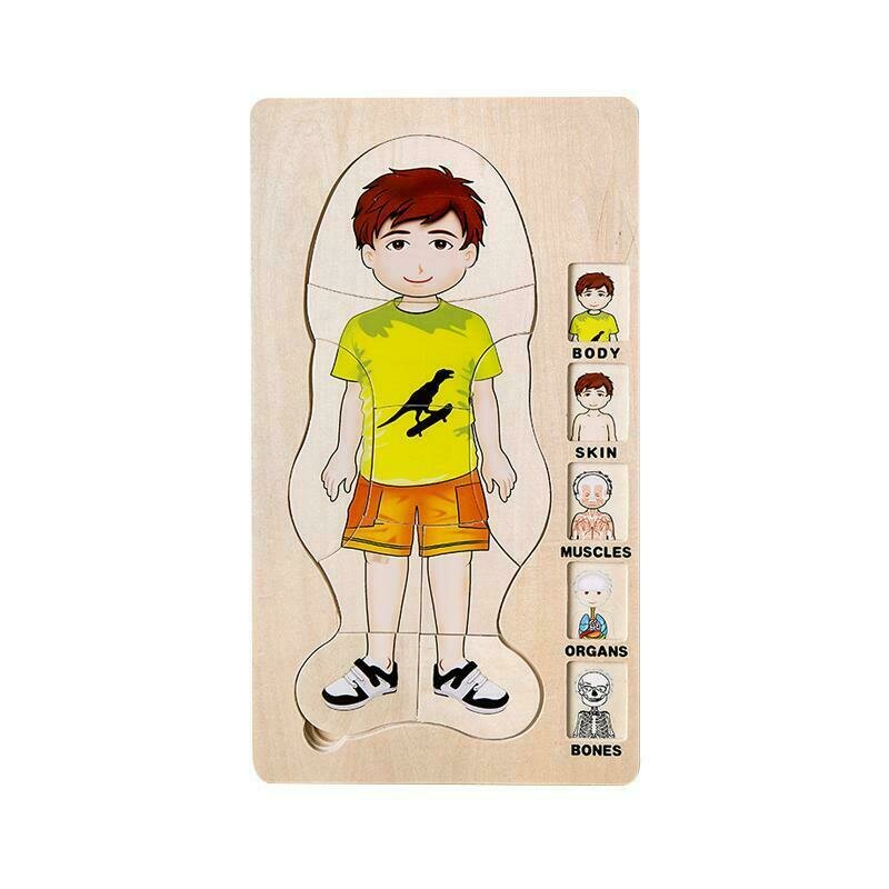Mamamemo - puzzle din lemn corpul omenesc (baiat) , puzzle copii , in straturi, piese 36