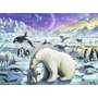 Ravensburger - Puzzle Animale polare, 300 piese - 3
