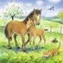 Puzzle Animale Si Pui, 3X49 Piese - 2