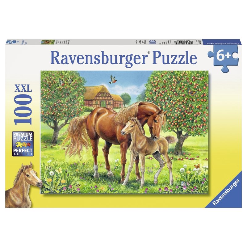Ravensburger - Puzzle Cai pe camp, 100 piese