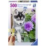 Puzzle Catel Husky, 500 Piese - 1