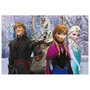 Puzzle personaje Frozen si prietenii , Puzzle Copii , De colorat, piese 108 - 2