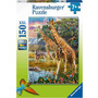 Puzzle Girafe In Africa, 150 Piese - 2