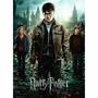 Puzzle Harry Potter Si Talismanele Mortii, Partea 2, 300 Piese - 1