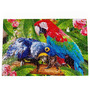Puzzle Parrots, 32x47 cm, 500 piese De.tail DT500-01 - 2