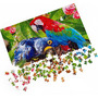 Puzzle Parrots, 32x47 cm, 500 piese De.tail DT500-01 - 3