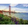 Ravensburger - Puzzle Pod Golden Gate, 1000 piese - 2