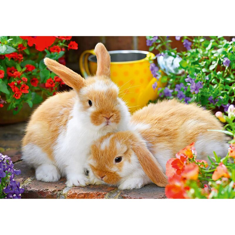 Ravensburger - puzzle animale porcusor de guinea si iepuras puzzle copii, piese 24