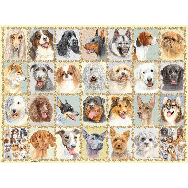 Ravensburger - puzzle animale portrete de caini puzzle copii, piese 500