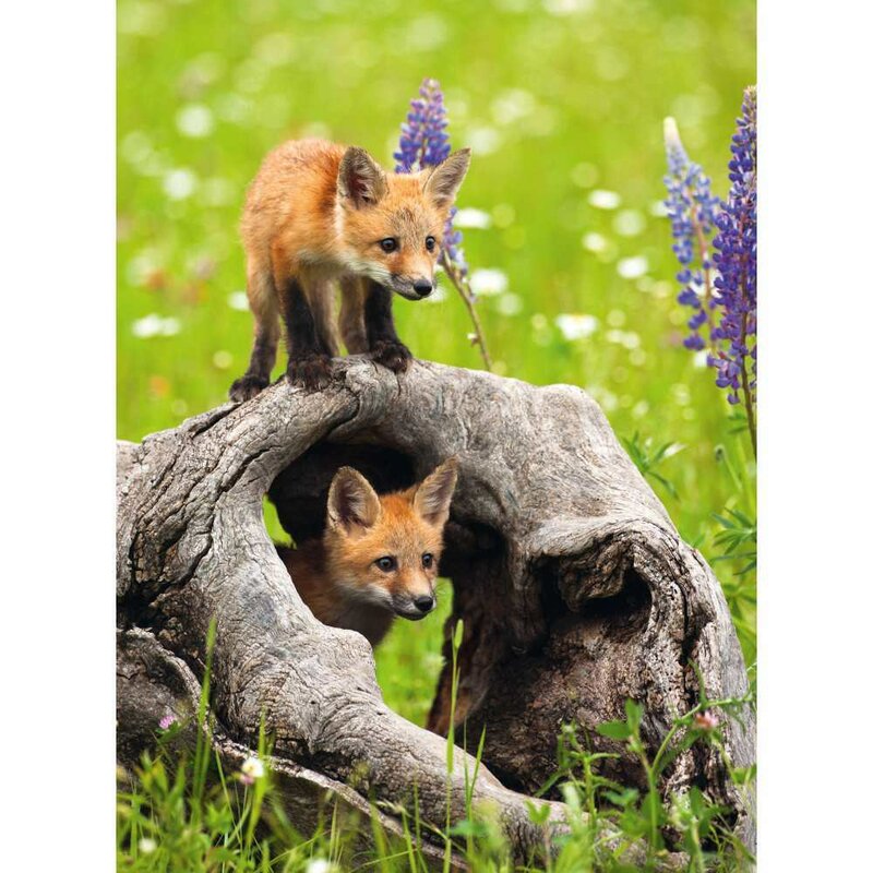 Puzzle animale, Ravensburger, Pui de vulpe, 300 piese, 9 ani+, Multicolor