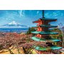 Trefl - Puzzle peisaje Muntele Fuji , Puzzle Copii, piese 1500 - 2