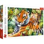 Trefl - Puzzle animale Tigri bengalezi in padurea tropicala , Puzzle Copii, piese 1500 - 1