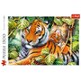 Trefl - Puzzle animale Tigri bengalezi in padurea tropicala , Puzzle Copii, piese 1500 - 3
