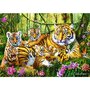 Trefl - Puzzle animale Familie de tigri , Puzzle Copii, piese 500, Multicolor - 2