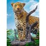 Trefl - Puzzle peisaje Leopard in savana , Puzzle Copii, piese 500, Multicolor - 2