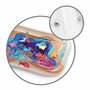 Saltea de joaca cu apa, BabyOno, Dezvoltarea imaginatiei, abilitatiilor motorii, Coordonare mana-ochi, PVC, 66x50 cm, 3 luni+, Multicolor - 6