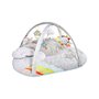 Salteluta interactiva, Skip Hop, Silver Lining Cloud, Cu jucarii cu sunete si lumini, Oglinda, Perna, 91 × 91 × 48 cm, Multicolor - 2