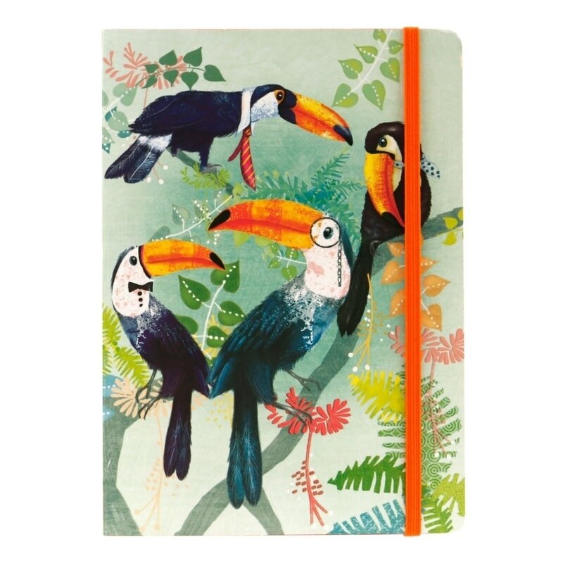 Santoro Carnetel A5 - Toucans