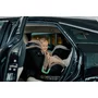 Scaun auto, Lionelo, Harmony i-Size, Rotire 360 grade, Protectie laterala, Cu spatar reglabil in 5 pozitii, Cu tetiera reglabila in 12 pozitii, 0-36 Kg, 40-150 cm, Cu Isofix, Husa din bambus, Conform cu ECE R129, Gri inchis - 46