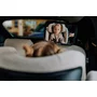 Scaun auto, Lionelo, Harmony i-Size, Rotire 360 grade, Protectie laterala, Cu spatar reglabil in 5 pozitii, Cu tetiera reglabila in 12 pozitii, 0-36 Kg, 40-150 cm, Cu Isofix, Husa din bambus, Conform cu ECE R129, Gri inchis - 67