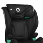 Scaun auto, Lionelo, i-Size Igo, 100- 150 cm, Cu isofix, Protectie laterala, Ajustare spatar in 2 pozitii, Tetiera Tri-Guard reglabila in 11 pozitii, Conform cu standardul european de securitate R129, Negru - 23