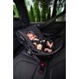 Scoica auto, Lionelo, i-Size Astrid, Include baza Isofix, 0-13 Kg, 40-87 cm, Cu maner si capotina reglabile, Cu protectie laterala avansata, Salteluta confortabila, Testat ADAC, Conform cu R129, Bej - 34