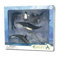 Collecta - Set 6 figurine Viata Marina