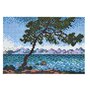 Hama - Set cu margele  midi arta - Claude Monet - 2