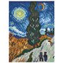 Hama - Set cu margele  midi arta - Van Gogh - 2