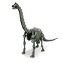 Set educativ Sapa si descopera Dinozauri - Brachiosaurus - 2