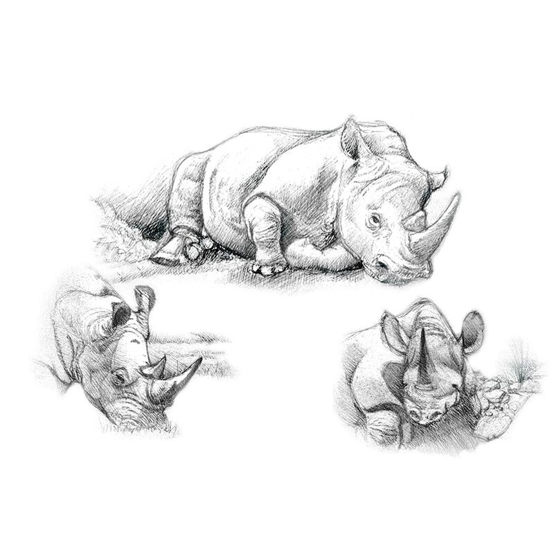 berzele (2016) online desen in romana Set pentru realizarea unui desen in creion - Rinoceri