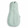 Sistem de infasat si sac de dormit, ErgoPouch, 2 in 1, 0-3 luni, 3-6 kg, TOG 1, Bumbac organic, Fermoar bidirectional, Transformabil, Lavabil la masina, Certificat non-toxic, Premiat in Australia, Verde - 2